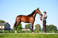 AJB_0825