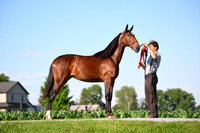 AJB_0827
