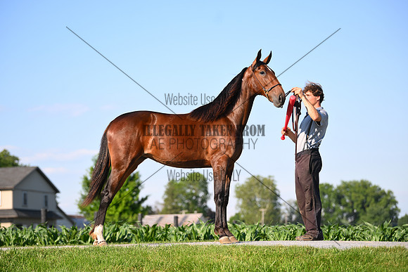 AJB_0827