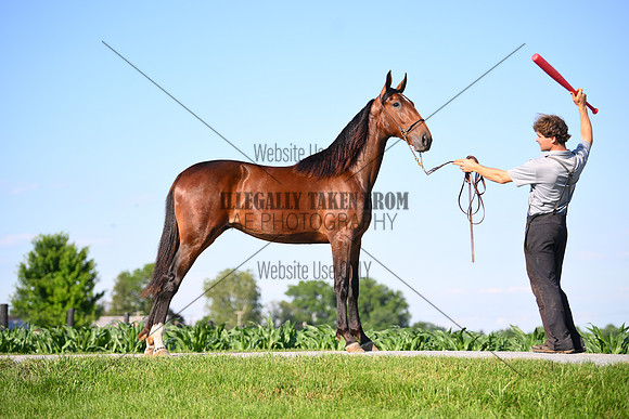 AJB_0834