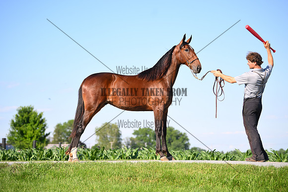 AJB_0835