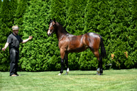 Reuban Stoltzfus-photos