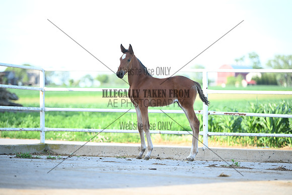 AJB_1192