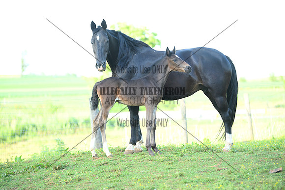 AJB_1205