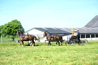 AJB_1271