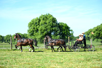 AJB_1272