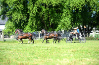 AJB_1274