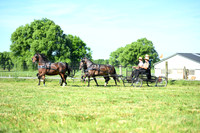AJB_1277