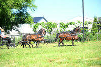 AJB_1288