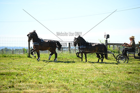 AJB_1292