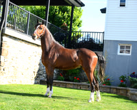 Lot44-standing