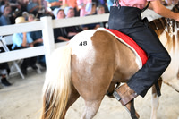 AJB_9749
