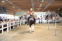 AJB_9681