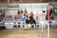 AJB_9684