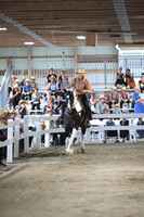 AJB_9688