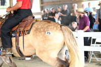 AJB_9659