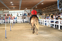 AJB_9664