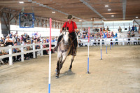 AJB_9669