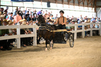 AJB_0376