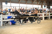 AJB_0377