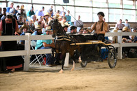 AJB_0378