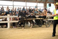 AJB_0379