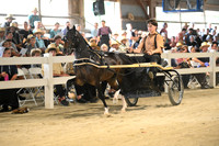 AJB_0382