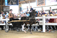AJB_0386