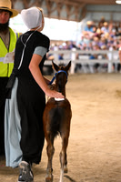 AJB_0508