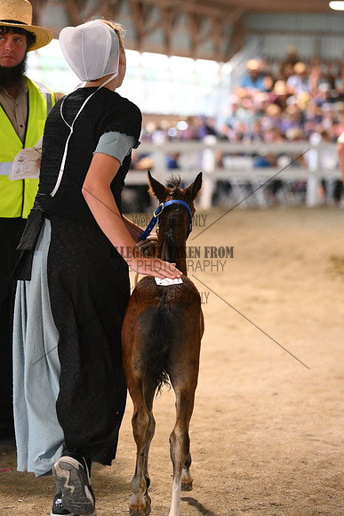 AJB_0508