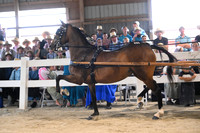 AJB_0515