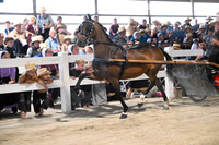 AJB_0517