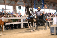 AJB_0527
