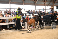 AJB_0525