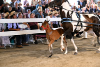 AJB_0526