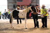 AJB_0535