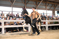 AJB_0531