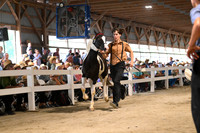 AJB_0533