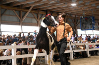 AJB_0534