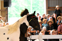 AJB_0538
