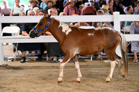 AJB_0541