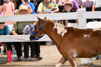 AJB_0542