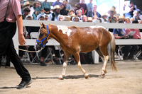 AJB_0544