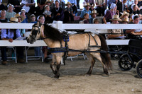 AJB_0555