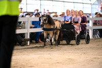 AJB_0556
