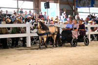AJB_0558