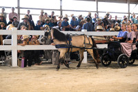 AJB_0559