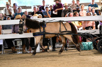AJB_0563
