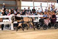 AJB_0562