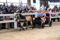 AJB_0564